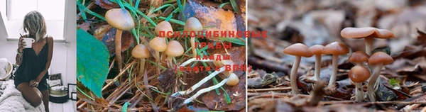 ешки Лагань