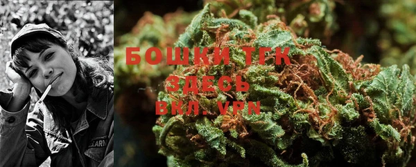 ешки Лагань