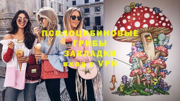 индика Липки