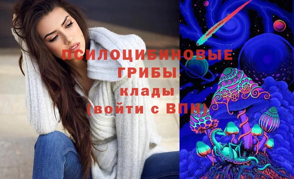 мет Ладушкин