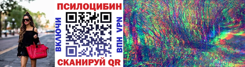 Купить где  Котовск  Псилоцибиновые грибы Psilocybine cubensis 